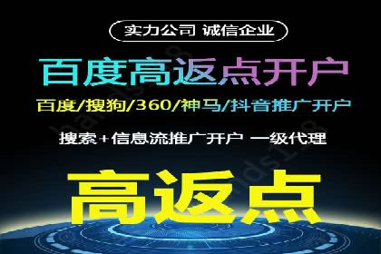 揭秘百度竞价排名：实战案例解析
