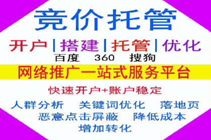 竞价推广策略：某电商平台的成功之路